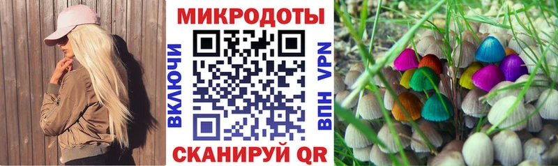 Галлюциногенные грибы MAGIC MUSHROOMS  магазин продажи наркотиков  Кольчугино 